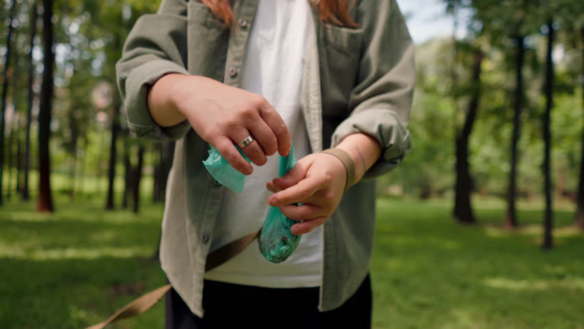 close up Woman picking up dog poop from the lawn in a city park A woman is holding blue plastic bag with pet excrement environmental protection
