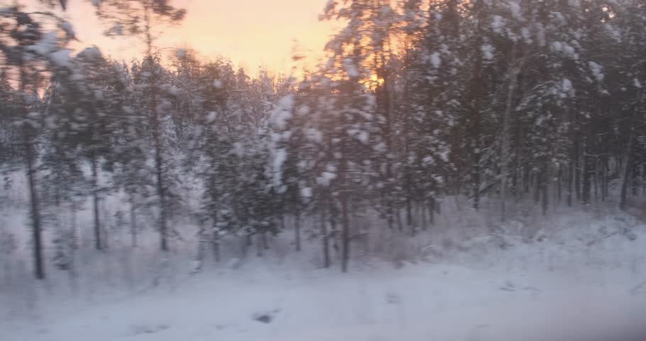 The train's journey through the countryside unveils woods, frozen and still, under the warm glow of a winter sunset.