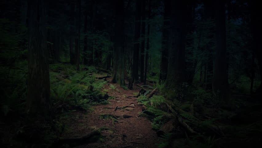 Path Through The Dark Woods Fairy Tale Scene
