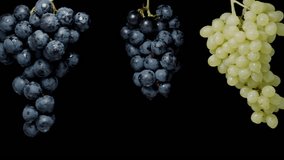 Three hanging grape clusters on a black background collide with each other, and water droplets fly everywhere, in slow motion. - Powered by Shutterstock - Get 15% off with code: PIKWIZARD15