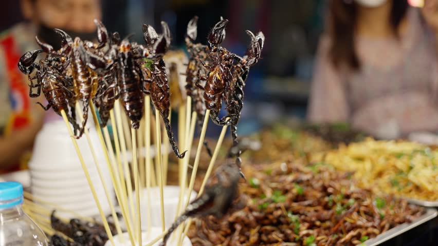Deep fried insects and scorpions street food vendor in Asian Thailand exotic food. A woman sells bugs in night market at Bangkok Chinatown Royalty-Free Stock Footage #1110209545
