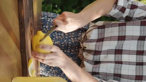 Vertical shot. Female hands cutting fresh lemons for summer refreshing lemonade drink outdoors.