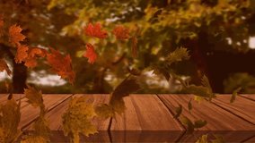 Animation of happy thanksgiving text and maple leaves floating over wooden plan against forest park. Thanksgiving and fall season concept - Powered by Shutterstock - Get 15% off with code: PIKWIZARD15