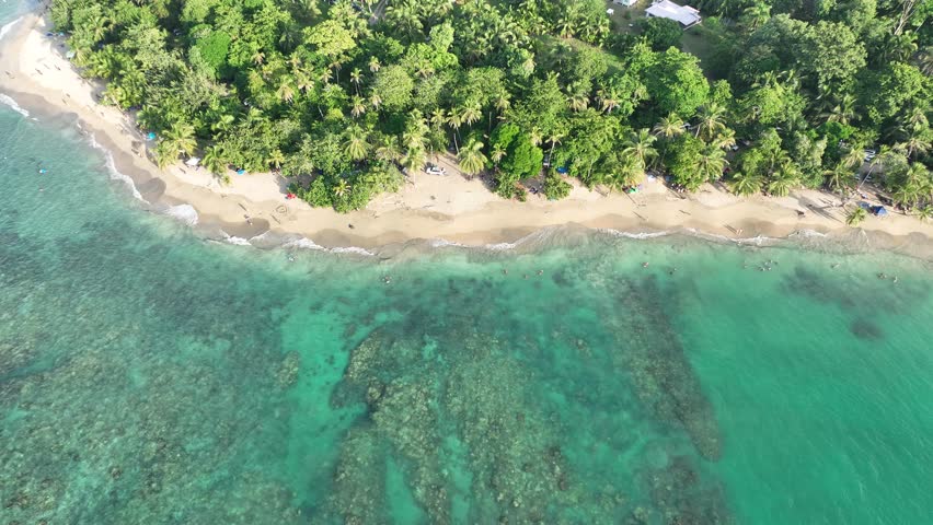 Lush tropical Caribbean Coast of Limon in Costa Rica -aerial views of Cocles, Punta Uva, Playa Chiquita and Manzanillo