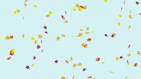 Colourful Autumn Fall Leaves Falling Against a Light Blue Sky Background - Powered by Shutterstock - Get 15% off with code: PIKWIZARD15
