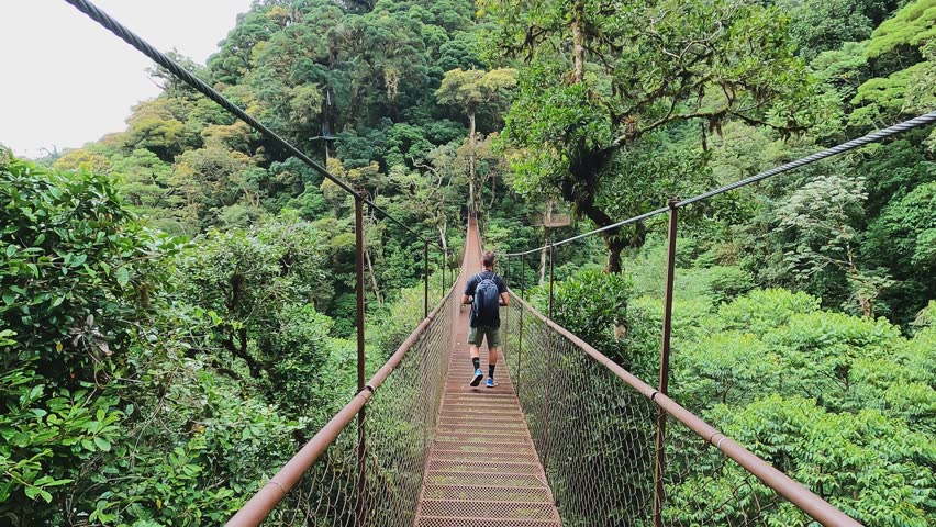 4k video man hiker crossing suspension bridge deep inside rain forest of Panama Royalty-Free Stock Footage #1110231523