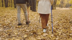 old couple walking on park with fallen yellow trees close up cropped video. magic hours with family Relationship, old grannies are interested in sport, healthy lifestyle, rehabilitation, mixed footage