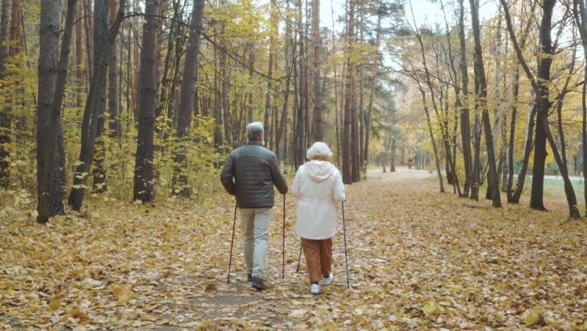 Elderly couple gets pleasure from walking in forest Park, autumn day, gray-haired man woman walking in city Park, romantic moment, autumn mood. back rare view Slow motion happiness Love through years Royalty-Free Stock Footage #1110237315