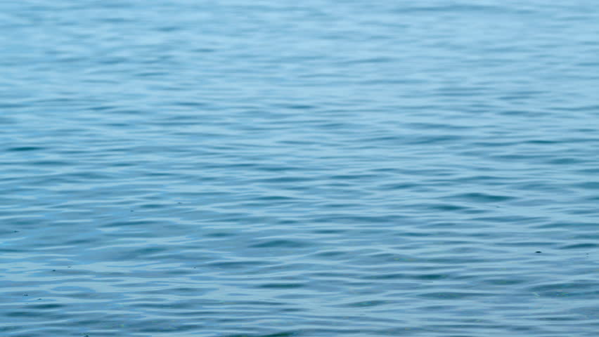 Water Surface With Sky Reflection On Water. River Nature In Calm Landscape. Close up.