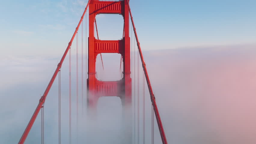 Shutterstock Video