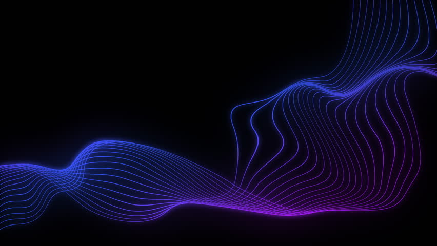 Shutterstock Video