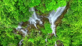 Discover harmony in nature's triple cascade, tucked away in a vibrant rainforest. Drone view reveals the symphony of water and jungle in perfect harmony. Rainforest Paradise: Exotic biodiversity.
