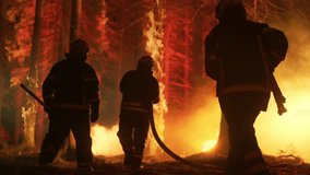 Experienced Firefighter Extinguishing a Wildland Fire Deep in the Woods. Professional in Safety Uniform and Helmet Spraying Water to Fight Large Flames Spreading Through Trees - Powered by Shutterstock - Get 15% off with code: PIKWIZARD15