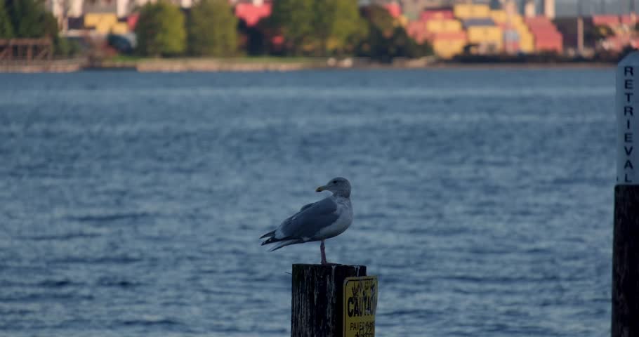 Seattle city landscape in Washington