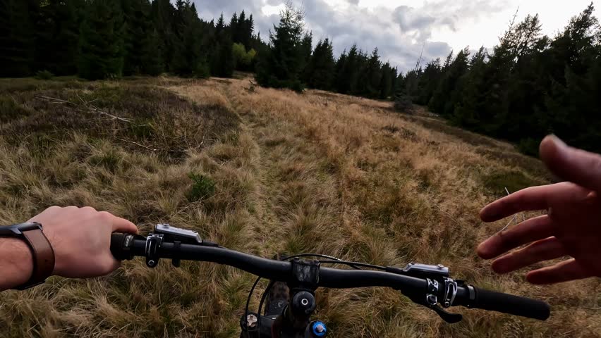 POV Mountain bike riding along a narrow path in the forest between the tall grass. Royalty-Free Stock Footage #1110292803