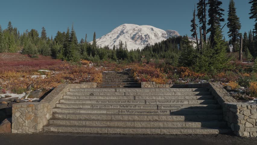Beautiful Skyline Trail in Paradise with Snow Capped Mount Rainier on The Background Washington USA