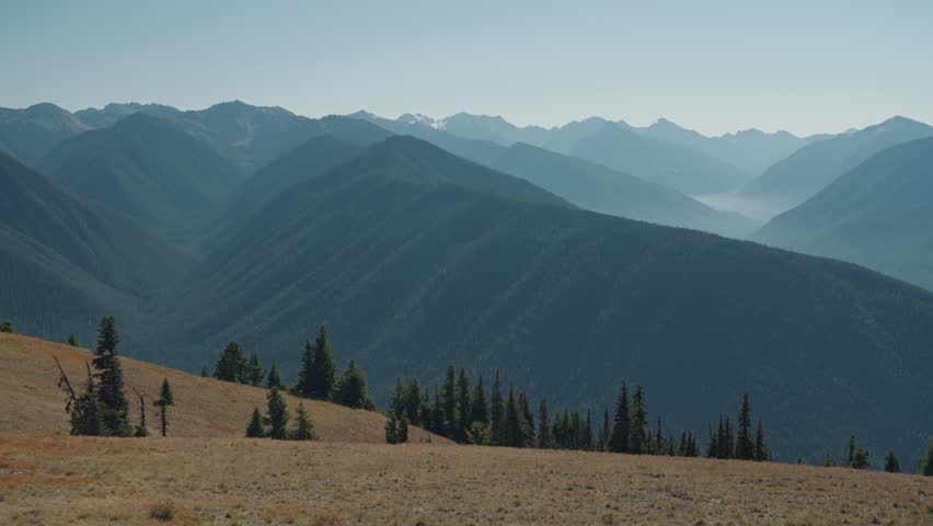 Hurricane Ridge a mountainous area Alpine Meadows in Washington Olympic National Park