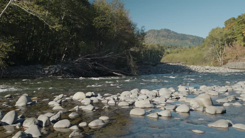 Beautiful Clean Water Elwha River with Rocks and Trees on the Olympic National Park Washington USA