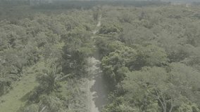 Trip to Puerto maldonado, madre de dios. Drone footage 4k log