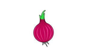 animated video of the red onion icon.4k video quality