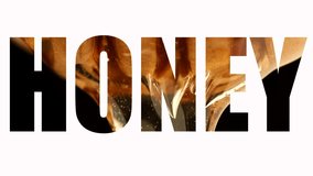 A sign honey on white background. Word honey. Pouring thick honey in word - honey - Powered by Shutterstock - Get 15% off with code: PIKWIZARD15