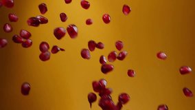 Red grains of ripe juicy pomegranate are falling diagonally on the yellow background in slow motion. High quality FullHD footage