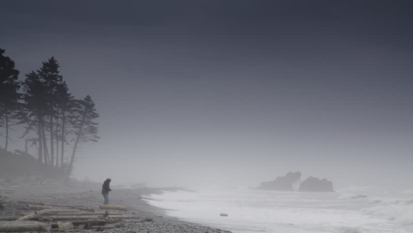 Distant person throwing rocks into ocean in fog at ruby beach  kalaloch, washington, united states