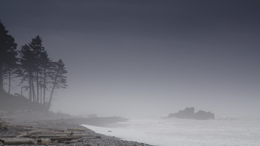 Ocean waves in fog at ruby beach  kalaloch, washington, united states