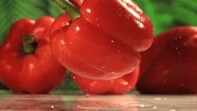 Red bell pepper falls on a wet table. Filmed on a high-speed camera at 1000 fps. High quality FullHD footage - Powered by Shutterstock - Get 15% off with code: PIKWIZARD15