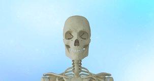 Skeleton, System Anatomy Animation Concept. Skeletal System complete animation, body transparent blue. Camera animation in close-up view Healthcare medical science animation.
