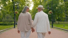 Back view happy Caucasian family old couple man woman holding hands walking together city park outside gray-haired senior husband wife enjoying walk health care retirement marriage active lifestyle - Powered by Shutterstock - Get 15% off with code: PIKWIZARD15