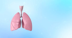 Respiration system organ. Human health, respiratory system, pneumonia illness, biology science, smoker asthma, healthcare concept. Healthcare.