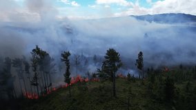 Wildfire aerial view. Fire and smoke. Burning forest. Natural disaster from climate change. Dry grass and trees burns. High summer temperature. Smoke of wildfire comes up. Tropical jungle in smog - Powered by Shutterstock - Get 15% off with code: PIKWIZARD15