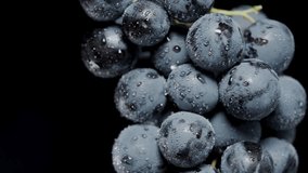 Water droplets on Black Grape berries, water splashes onto the clusters. In slow motion. - Powered by Shutterstock - Get 15% off with code: PIKWIZARD15