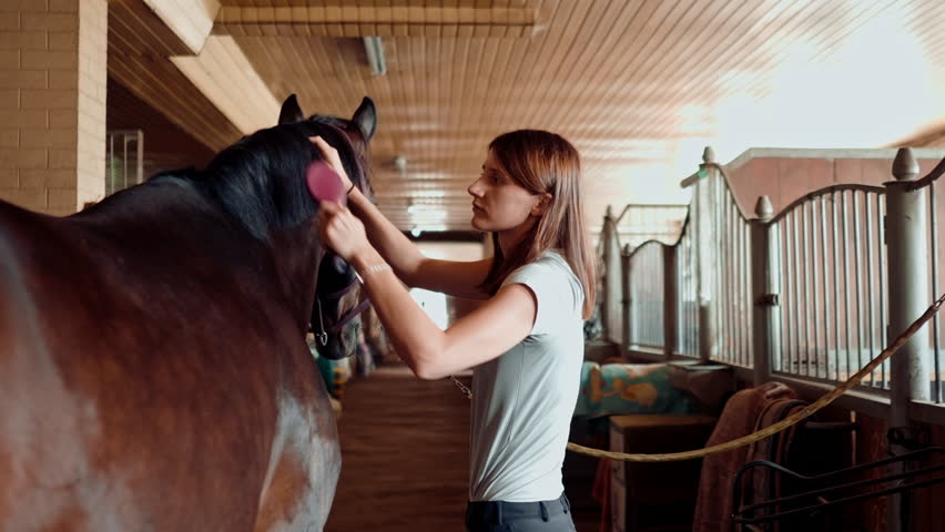 Close up of a girl in a stable on a farm combing the mane of a raven horse with comb the concept of love for equestrian sports Royalty-Free Stock Footage #1110356335