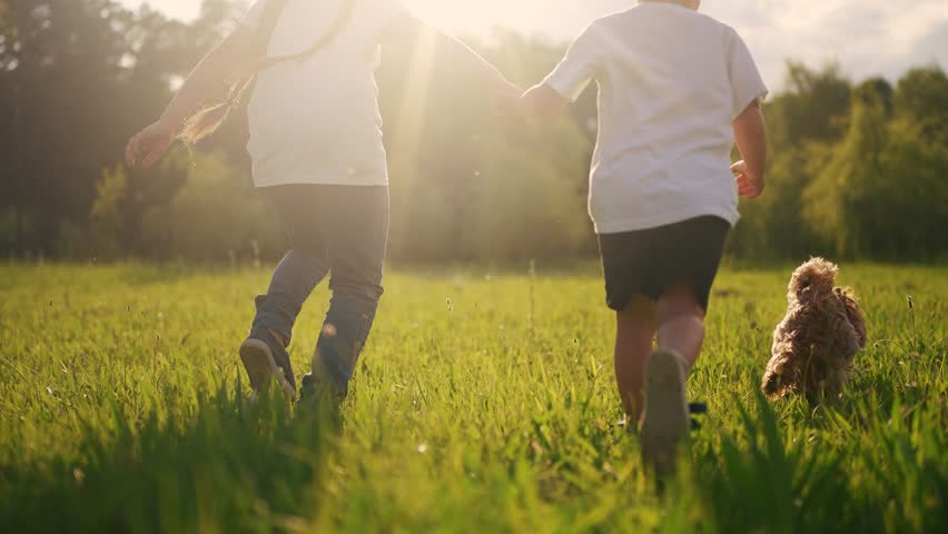 children and dog run. boy and a girl holding hands run through the grass in the summer at sunset in the park. happy family kid dream concept. children run at sunset in summer sunlight park Royalty-Free Stock Footage #1110357247