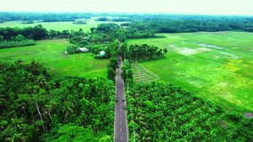 4K Cinematic Droneview  Village Road in Bangladesh