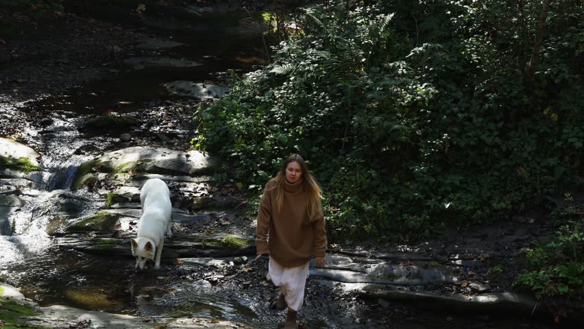 pregnant woman takes off her sweater looks at the camera and laughs. a girl walks with a white shepherd dog on the stones near the river.