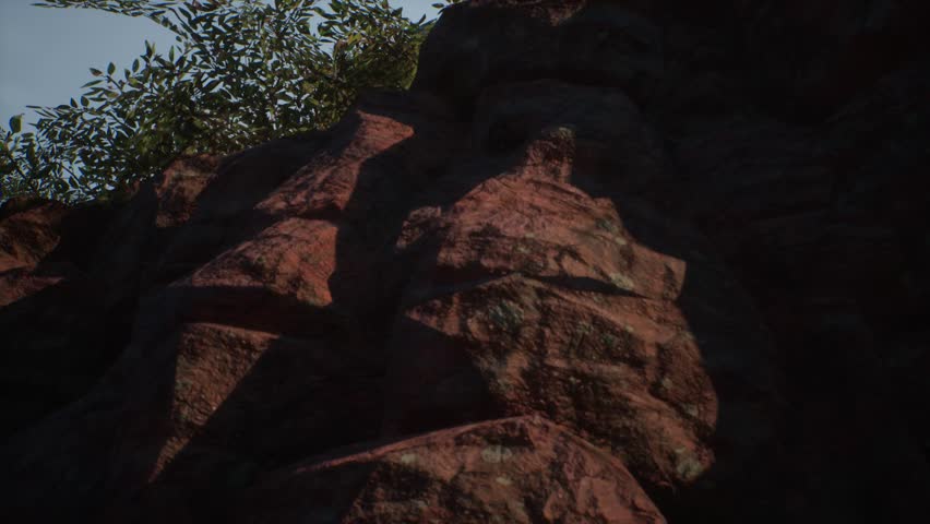 a jungle rocky environment with trees and bushes, 3D animation, animated scene, camera dolly up