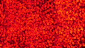 vertical video, camera pans around blurry gold and red lighting illumination in holiday night, defocused celebration lights festive advertisement.  - Powered by Shutterstock - Get 15% off with code: PIKWIZARD15