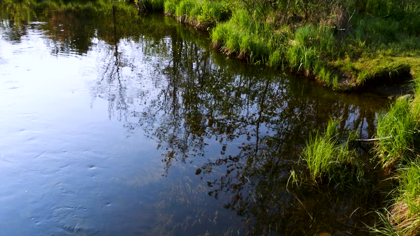 Flowing water on the Goose River near the shoreline with reflection of blue sky and trees on the surface.