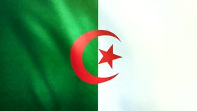 Highly detailed animation of the Algerian flag. Seamless loop.

