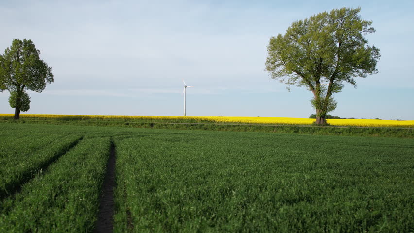 Trucking shot showing car on rural road between rape field and wind Turbine in background  Royalty-Free Stock Footage #1110383589