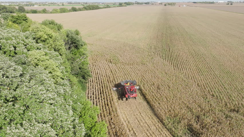 Combine Harvester Collecting Grain in a Farm Field, Aerial Royalty-Free Stock Footage #1110391617