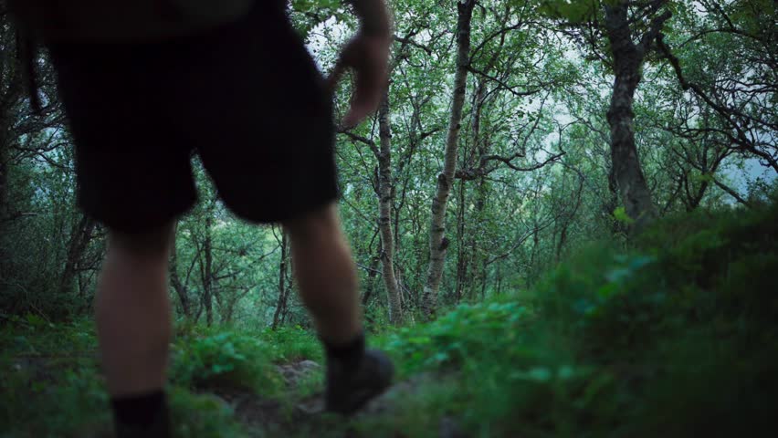 Hiker Walking Through Forest Trail In Strytinden, Norway - wide