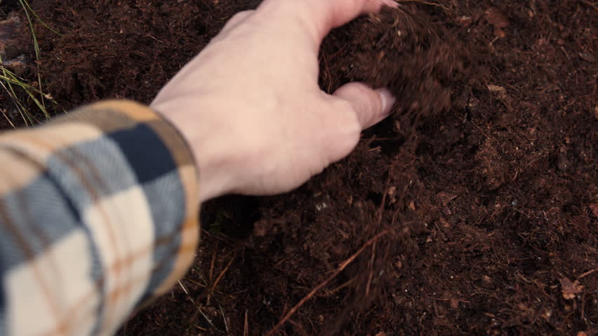 Black soil in man hand. Farmer holding humus in hand close-up. Male hand touching soil on the field. Farmer is checking dirt quality before sowing wheat.  Worker holding soil plowed field. Royalty-Free Stock Footage #1110404835