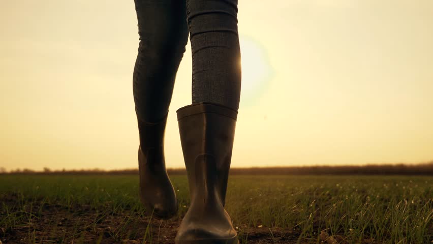 Farmer's feet in rubber boots walk across the field in sunshine at sunset. farmer walks across the farming field. farmer works in rubber boots at sunset in field. Agriculture concept Royalty-Free Stock Footage #1110412235