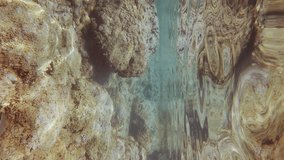Vertical video, Underwater seascape with stones reef under water reflected on surface. Shallow water landscape with big stones in sun glare and surface of water