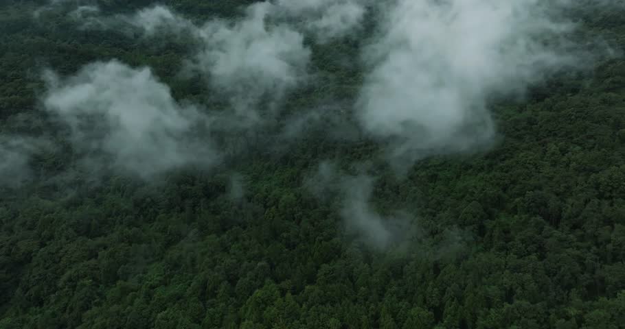 Aerial landscape of mountain forest with mist floating above small town | Shutterstock HD Video #1110413663