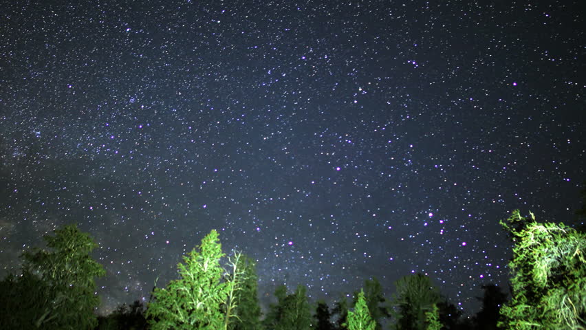 Astrophotography time lapse footage of Milky Way galaxy rising over Ancient Bristlecone Pine Trees through dawn in White Mountain, California -Close Up-